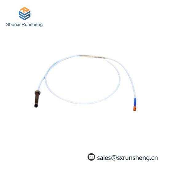 Bently Nevada Probe DS-1053/03/030/010/1/9 Extension Cable