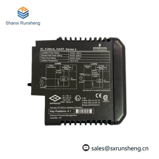 Emerson VE4003S2B2 DeltaV Analog Input Module