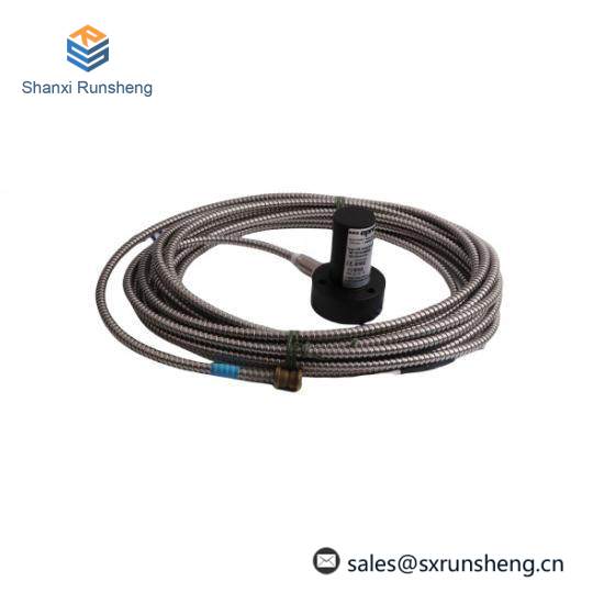 EPRO PR9268/202-100  PR9268202100