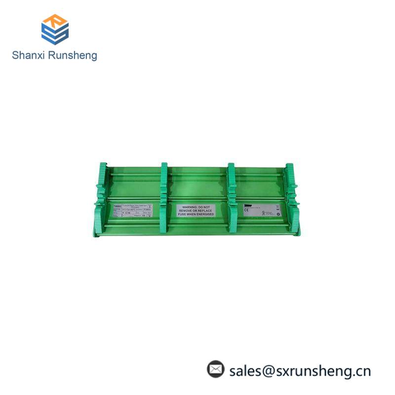 ICS Triplex T8800C Digital Input FTA