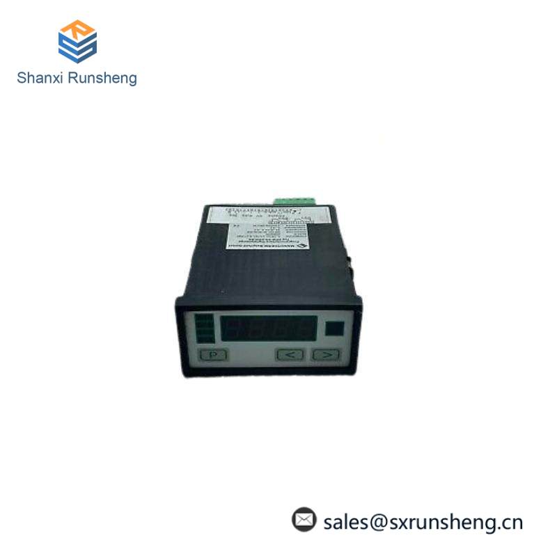 NEGELE PROZESSORANZEIGE DPM-GS-2GW-S Digital Display