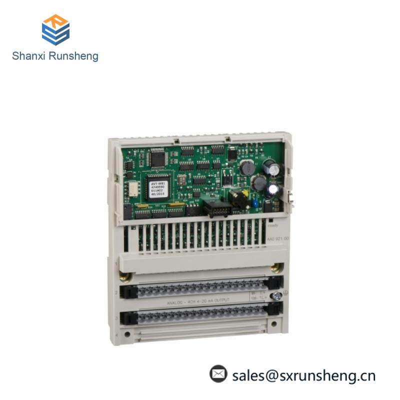 Schneider 170AAO92100 Analog Output
