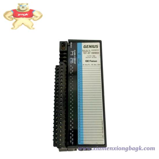 GE Fanuc IC660BBD024  I/O Circuits