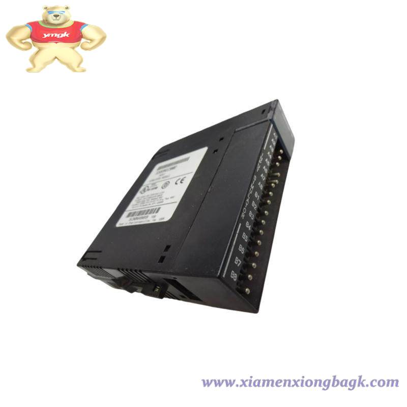 GE IC693ACC300 Input Simulator Module