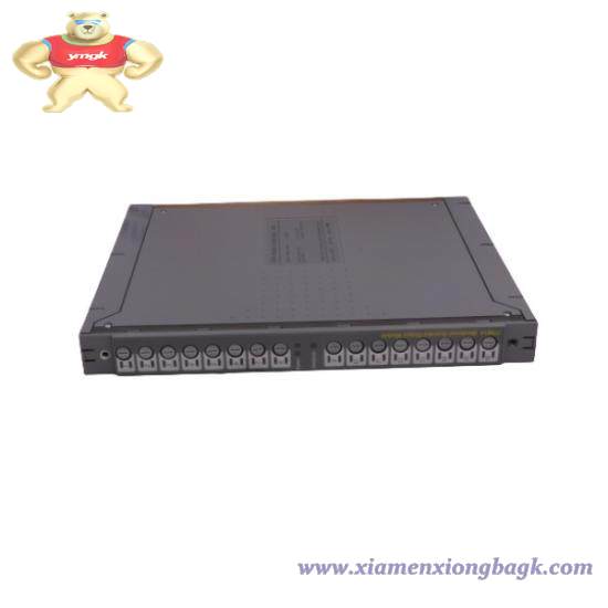 ICS TRIPLEX TC-301-02-2M0