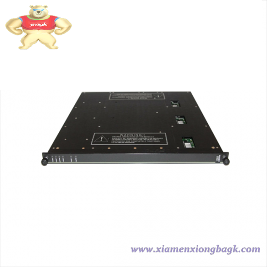 Triconex 3850E Analog Output Module