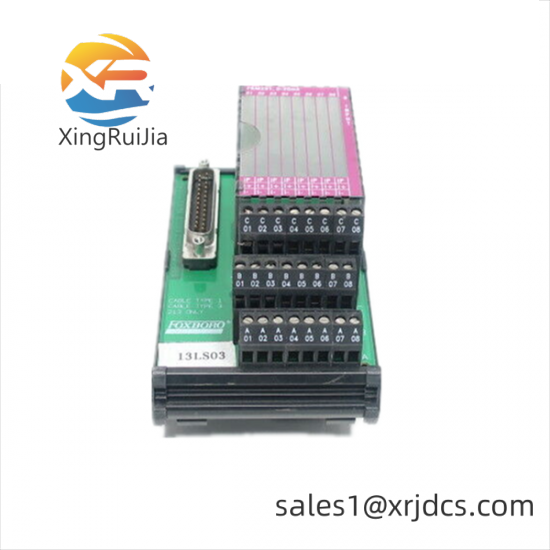 Foxboro P0500SG