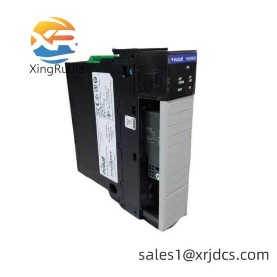 PROSOFT RLX2-IHNF 10-24VDC