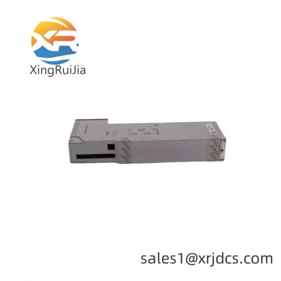 SCHLEICHER XCX300/XCS300/XCX-300