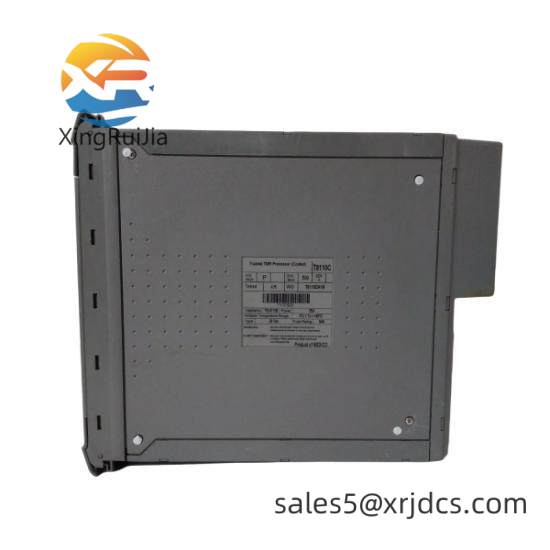 ICS TRIPLEX T8110C