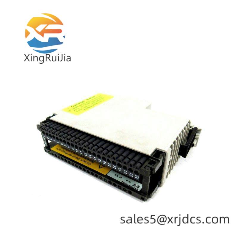 Schneider AS-BDAU-204 ANALOG OUTPUT MODULE