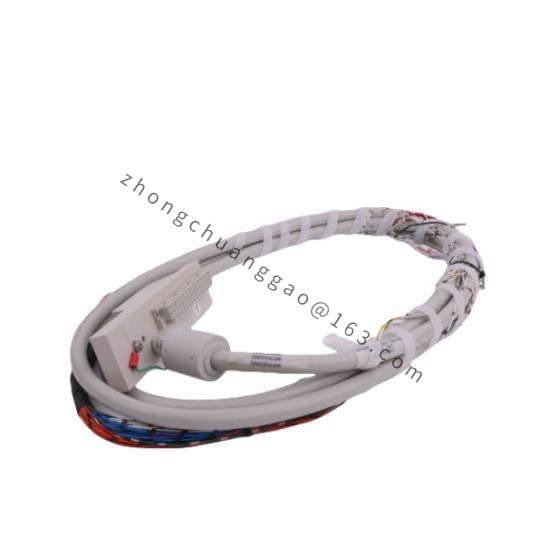16137-116  Moore I/O Cable