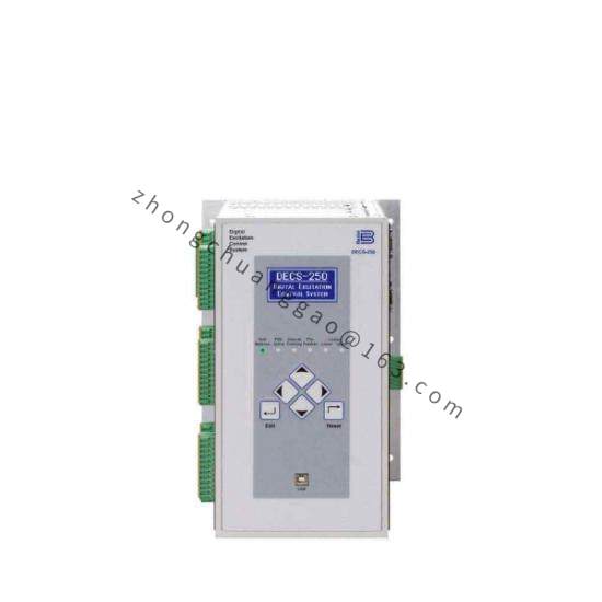 Basler DECS-200-2L