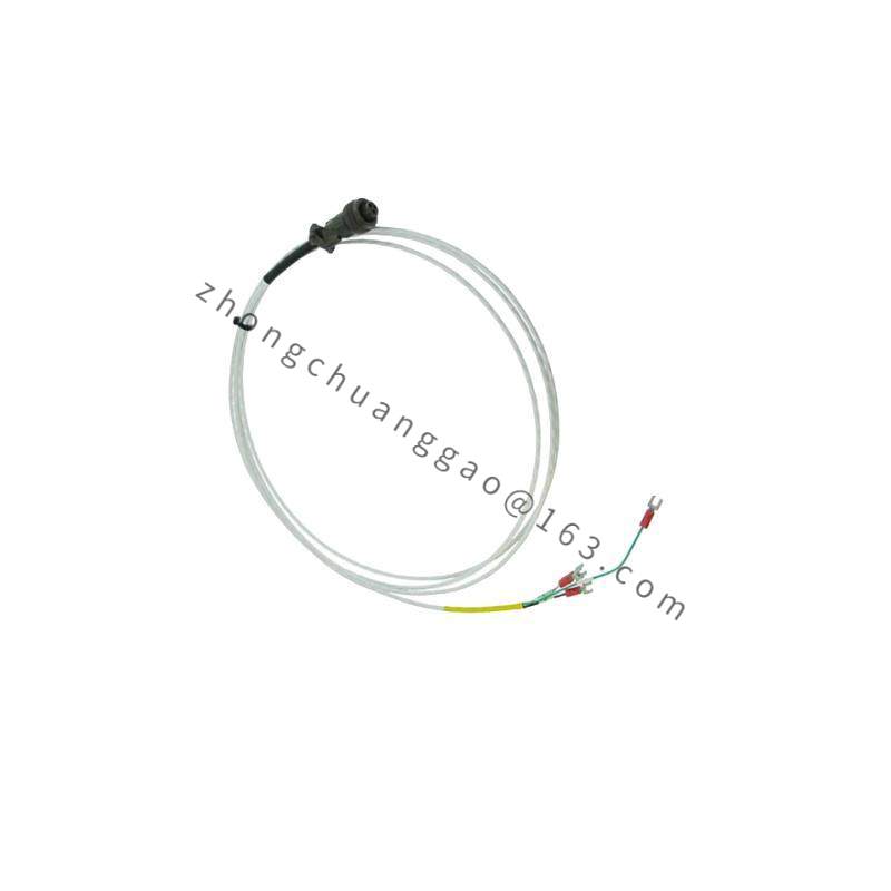 AB 1761-L32BWA MicroLogix 1000 120/240VAC