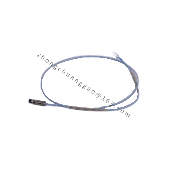 Bently Nevada 300103-A00-B09-C10-D02-E0