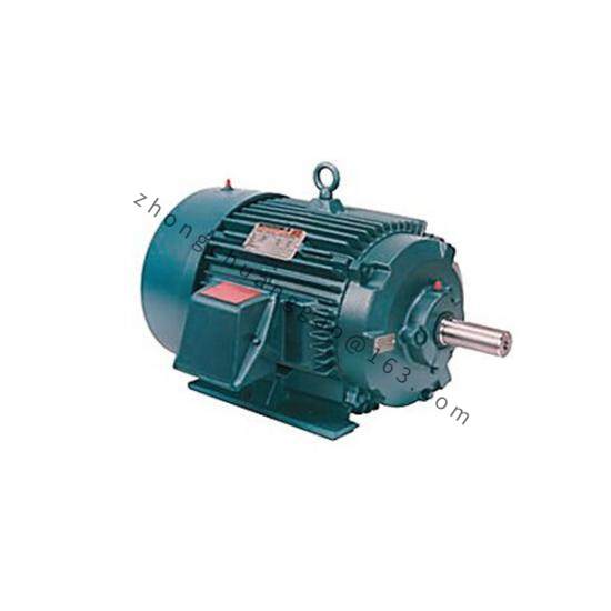 CM202 Motor