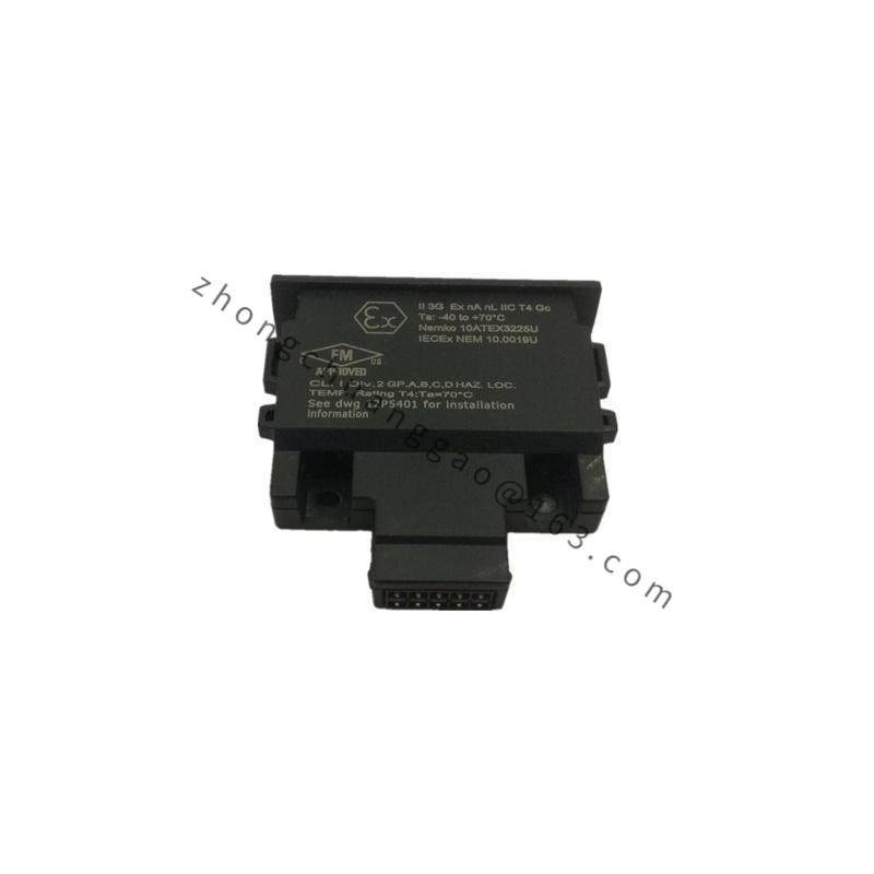 Emerson 12P4983X302 Charm Address Plug