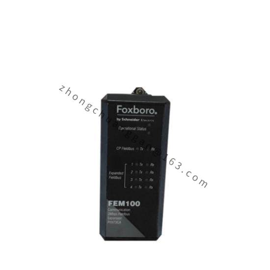 Foxboro FEM100 P0973CA  I/A Series Expansion Module
