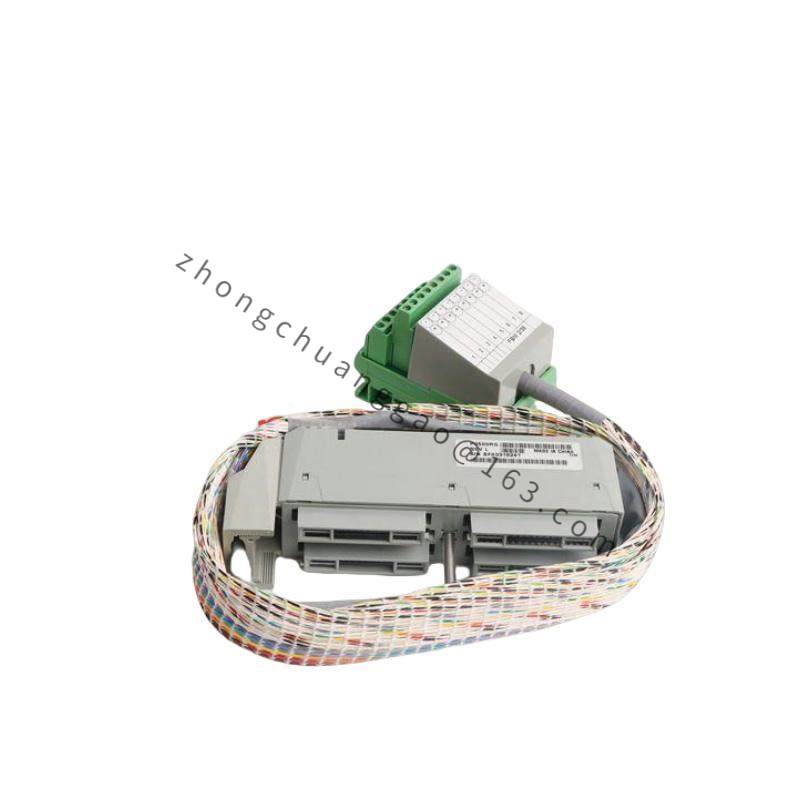 FOXBORO P0500RG
