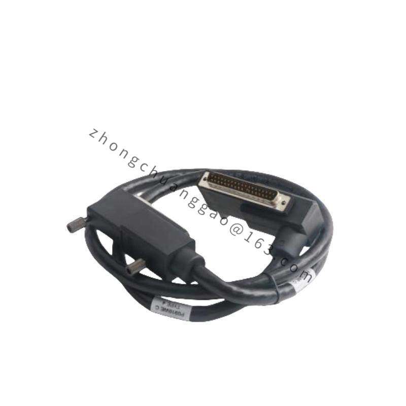 Foxboro P0916WE TERMINATION CABLE
