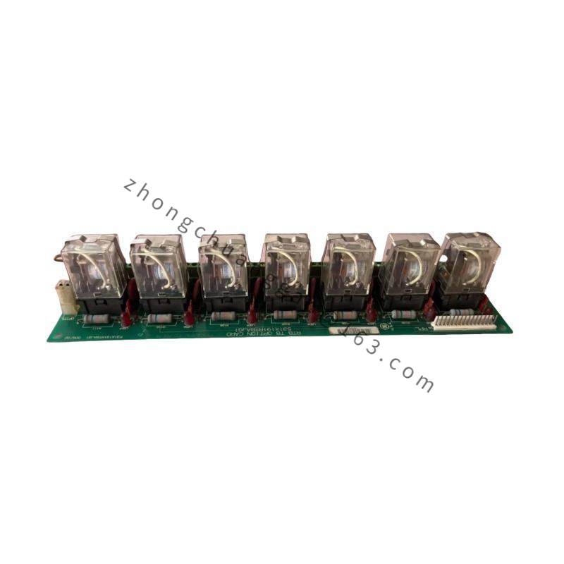 GE 531X191RTBAJG1 Option Card