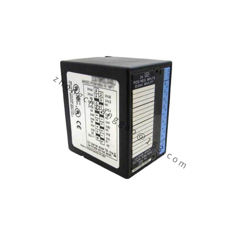 GE IC670ALG310