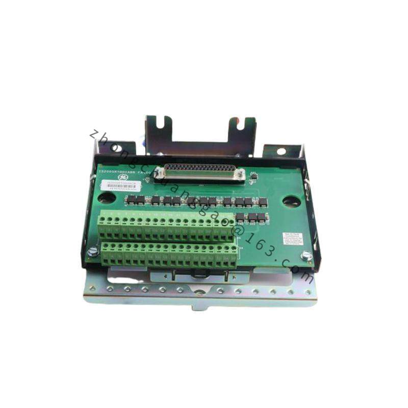 GE IS230SNRTH2A IS200SRTDH2ACB RTD Input