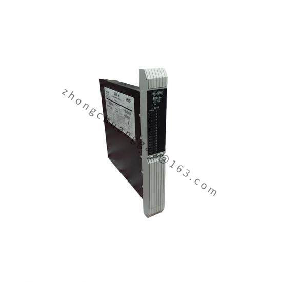 Moore 39SDM024DCCBN 16101-174R/12 SDM+Standard Discrete Module