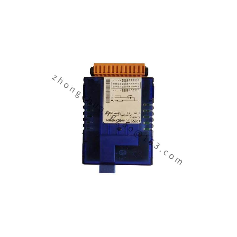 SAIA PCD2.W600