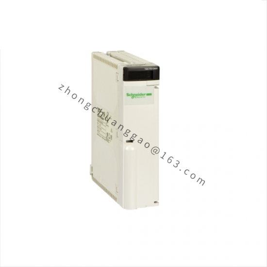 SCHNEIDER AS-BDAP-218