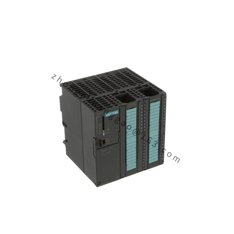 SIEMENS 6ES7313-5BG04-0AB0 DIGITAL OUTPUTS