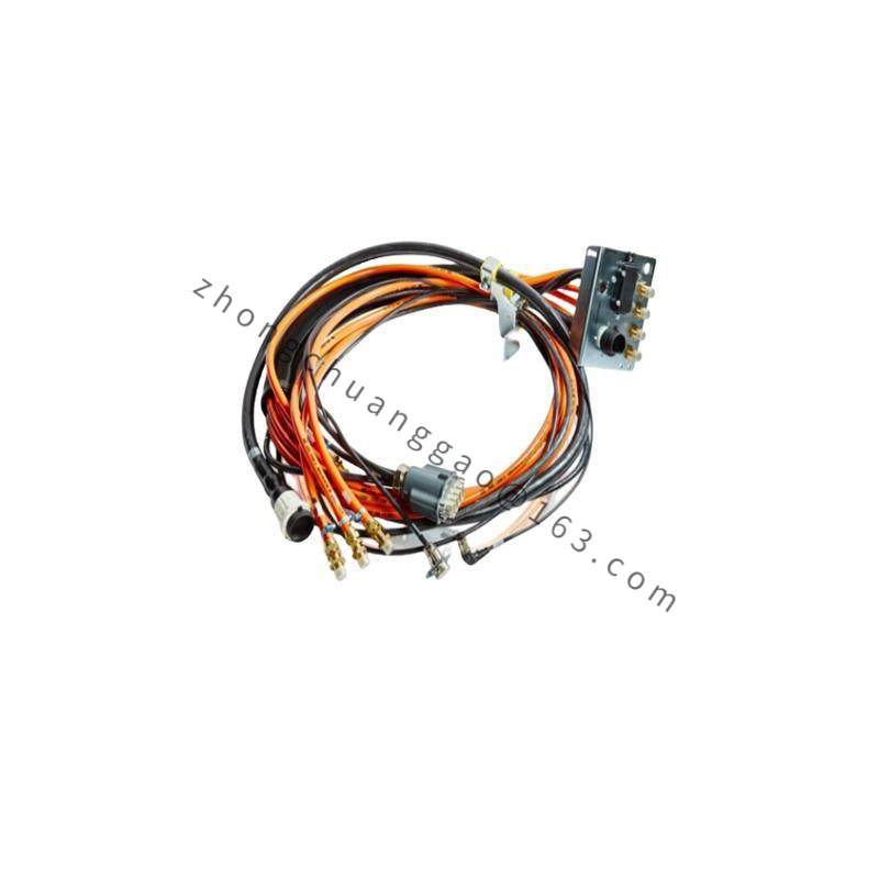 TRICONEX 2481