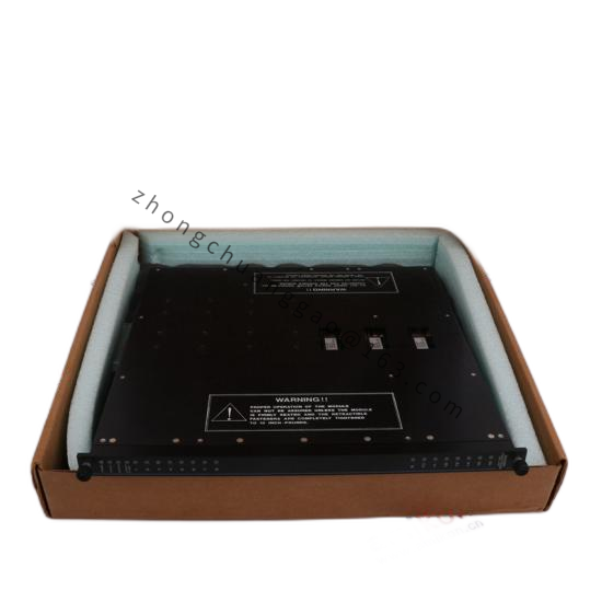 Triconex 4200N Remote Extender Module