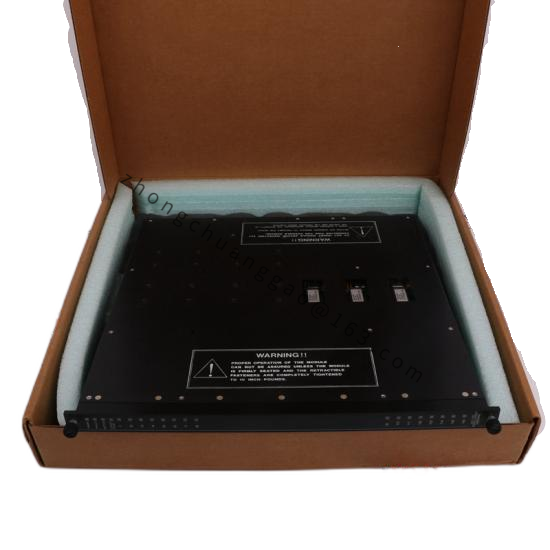 TRICONEX MP6004