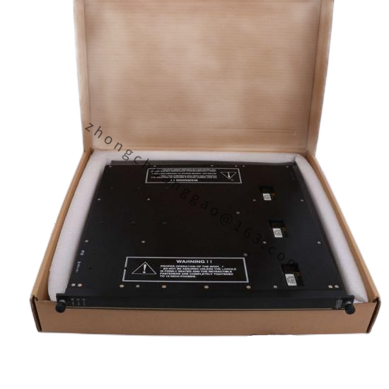 Triconex Termination Panel for 2755 7400061-600
